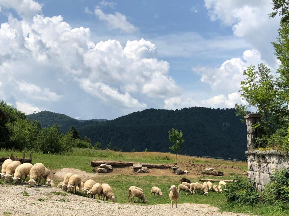 B&B Mad Mountain Robidisce 外观 照片